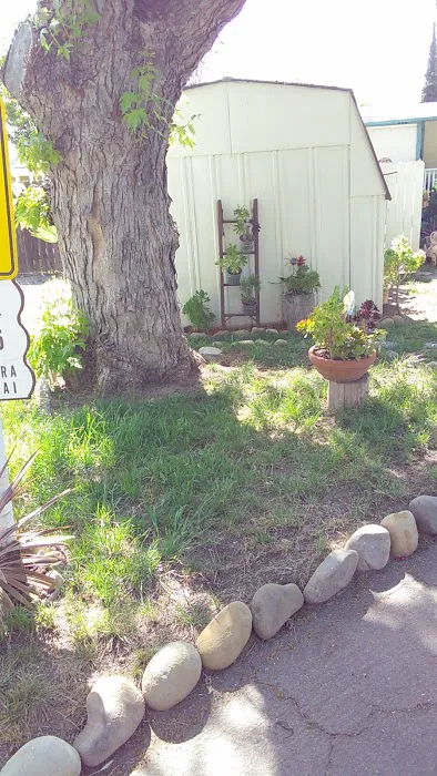 Country Village Mobile Home Park Picture 5