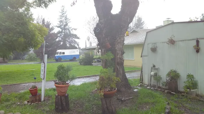Country Village Mobile Home Park Picture 8