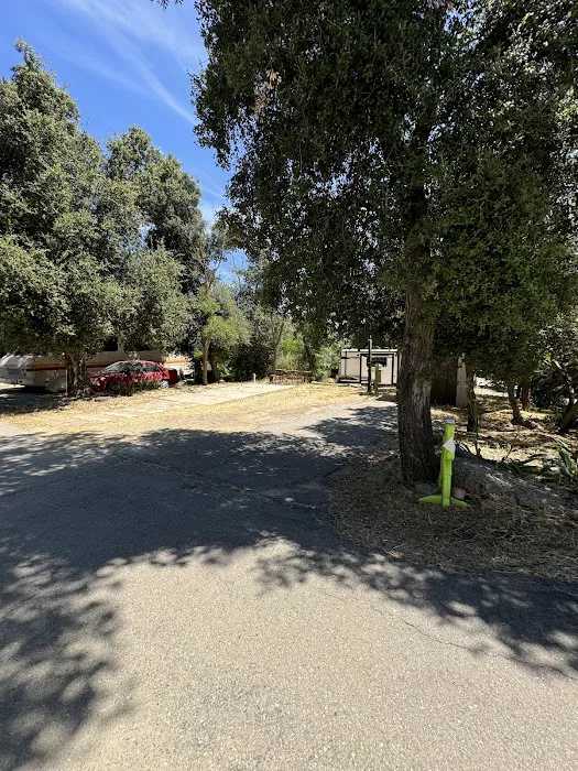 Lake Morena RV Park Picture 9