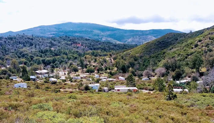 Pinecrest Retreat Picture 10