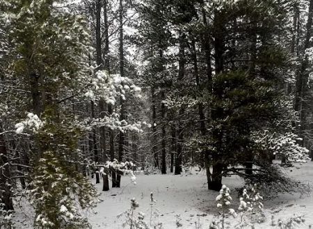 Tennessee Pass Trailhead