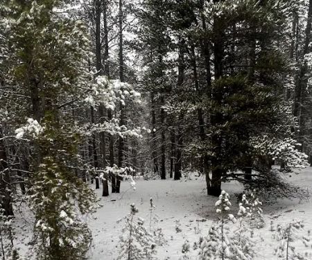 Tennessee Pass Trailhead