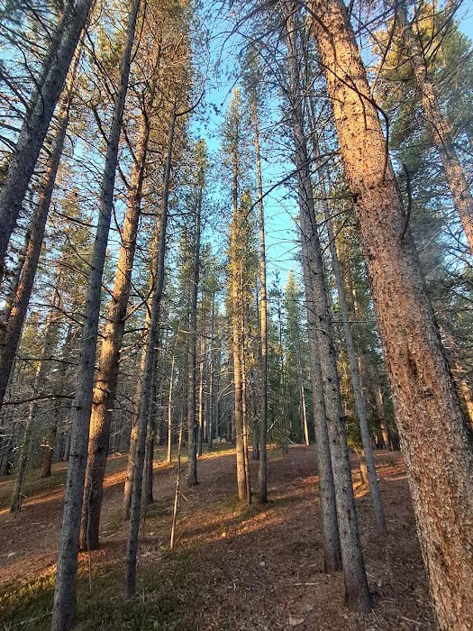 Printer Boy Campground Picture 1
