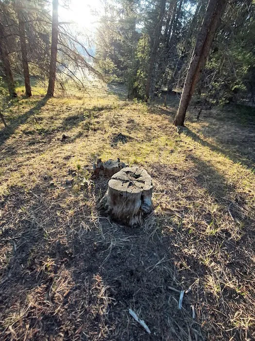 Printer Boy Campground Picture 8