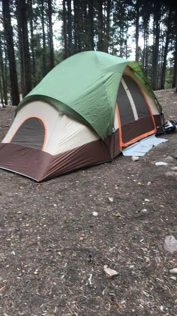 Printer Boy Campground Picture 6