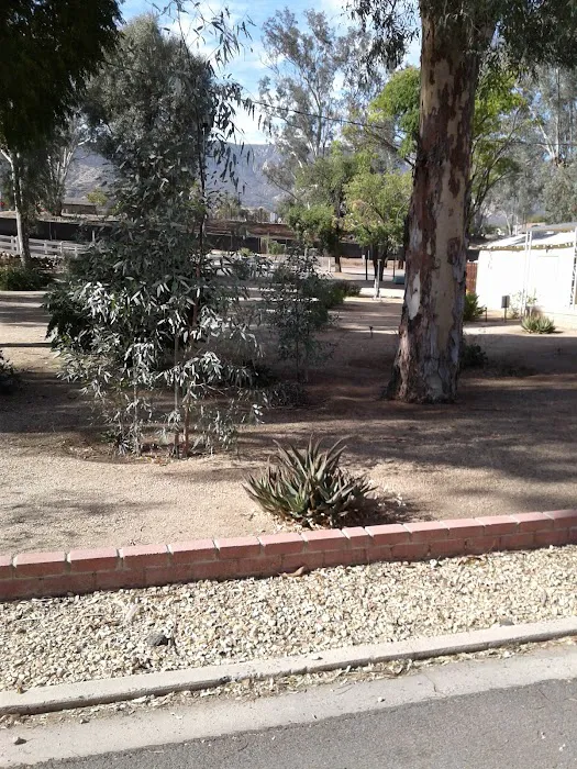 Casa De Moble Rv Park Picture 5