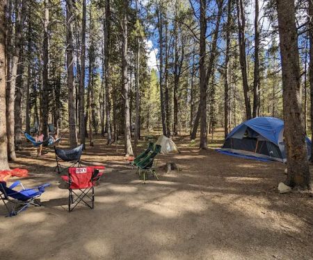 Father Dyer Campground