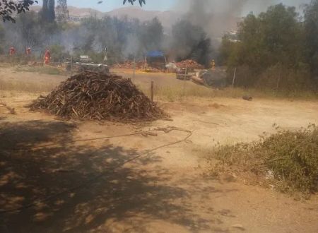 Pepper Tree RV Park
