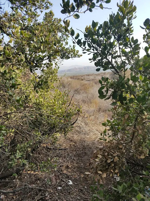 Pepper Tree RV Park Picture 3