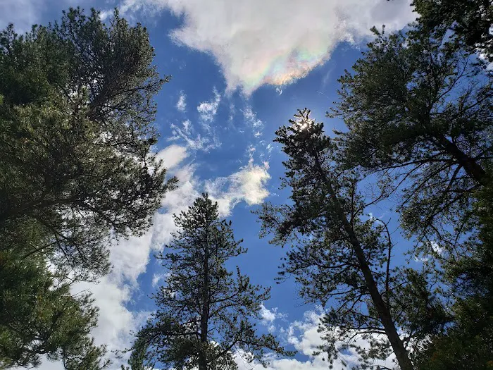 Baby Doe Campground Picture 6