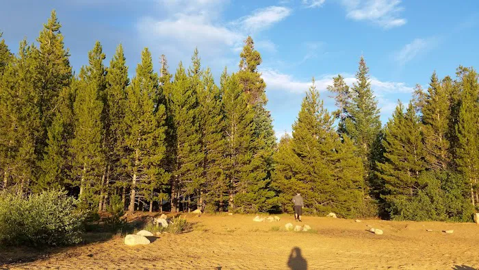 Belle of Colorado Campground Picture 10