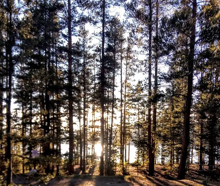 Molly Brown Campground Picture 6