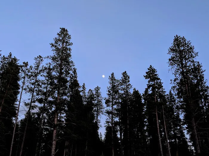 Molly Brown Campground Picture 10