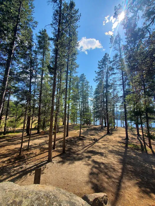 Silver Dollar Campground Picture 4