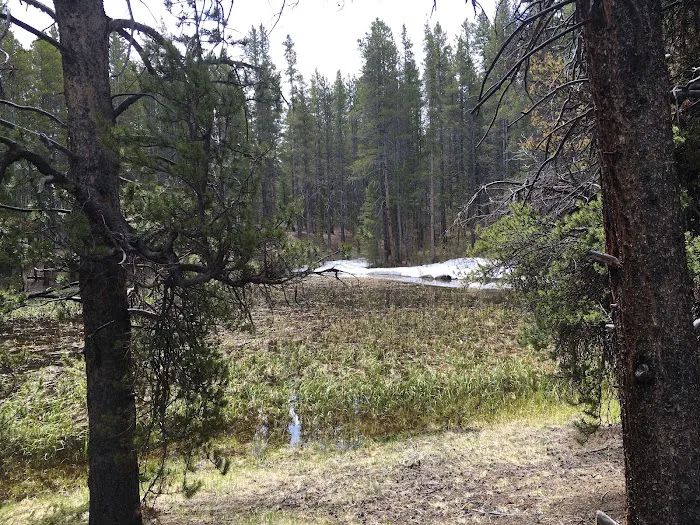 Silver Dollar Campground Picture 6