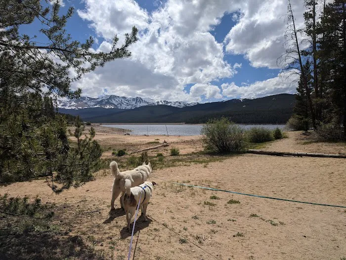 Silver Dollar Campground Picture 10