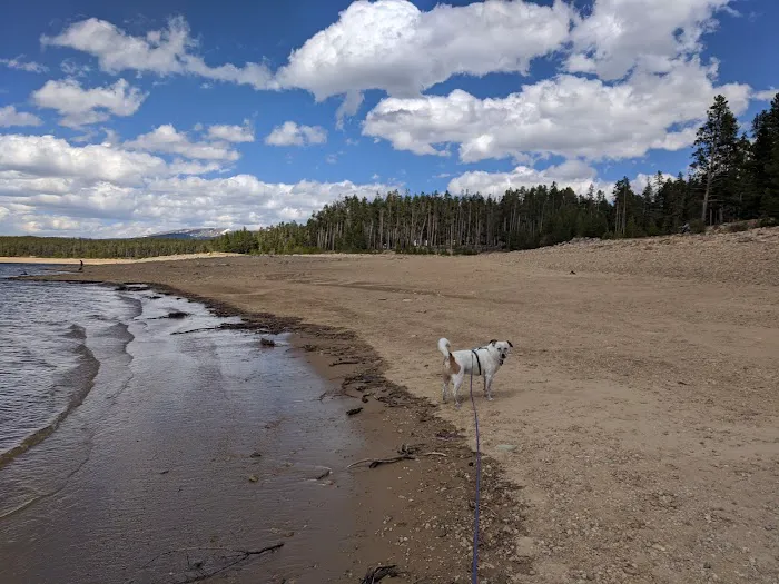 Silver Dollar Campground Picture 9