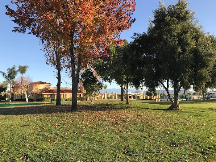 Sun Meadows Picture 2