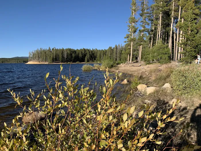 Matchless Campground Picture 3