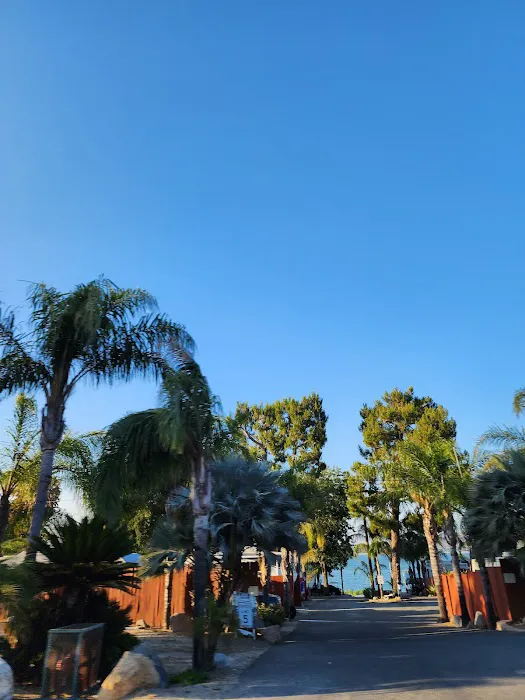 Playland Park Picture 6