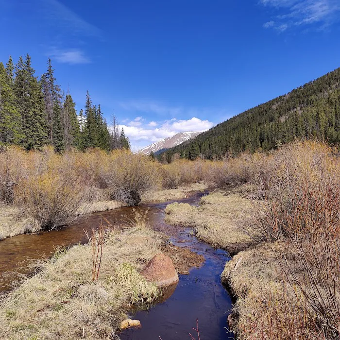 Weston Pass Campground Picture 4