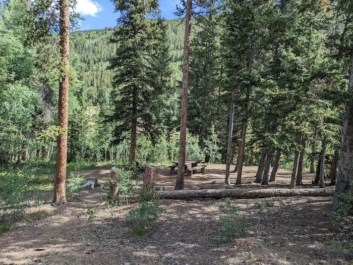 Weston Pass Campground Picture 2