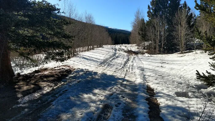 Weston Pass Campground Picture 8