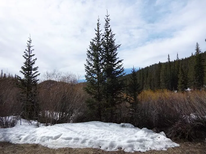 Weston Pass Campground Picture 7