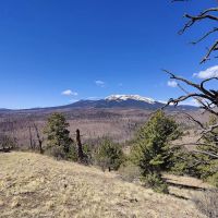 Buffalo Springs Campground ico