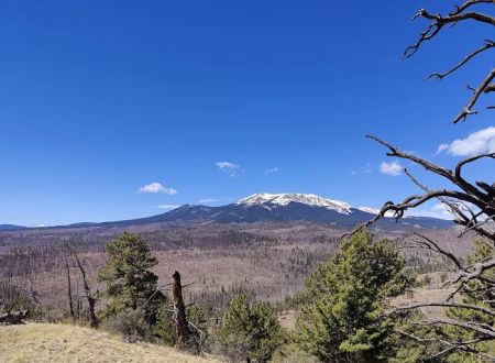 Buffalo Springs Campground