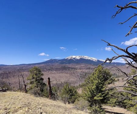 Buffalo Springs Campground
