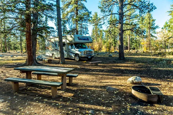 Buffalo Springs Campground Picture 3