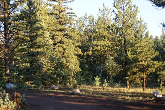 Buffalo Springs Campground Picture 6