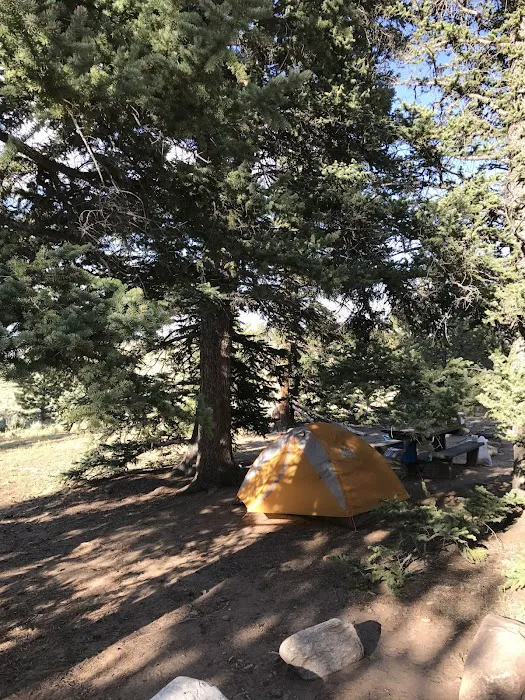 Buffalo Springs Campground Picture 8