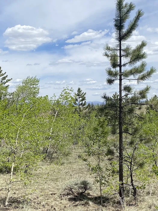 Buffalo Springs Campground Picture 9