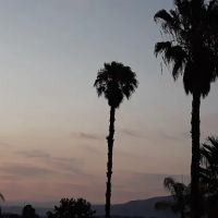 Vogue Mobile Manor ico