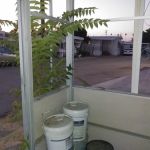 Sunrise Mobile Home park