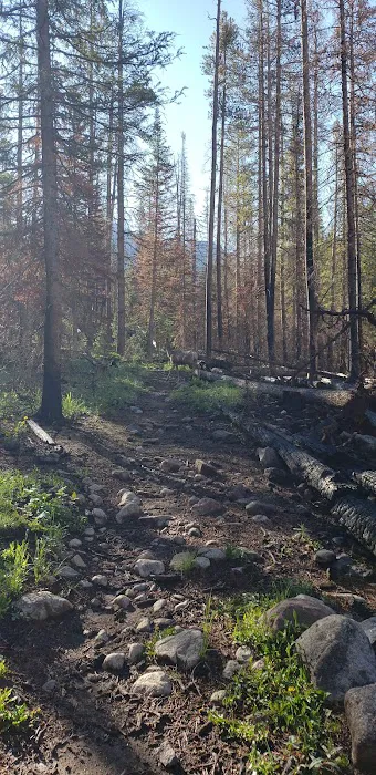 Grouseberry Campsite Picture 4