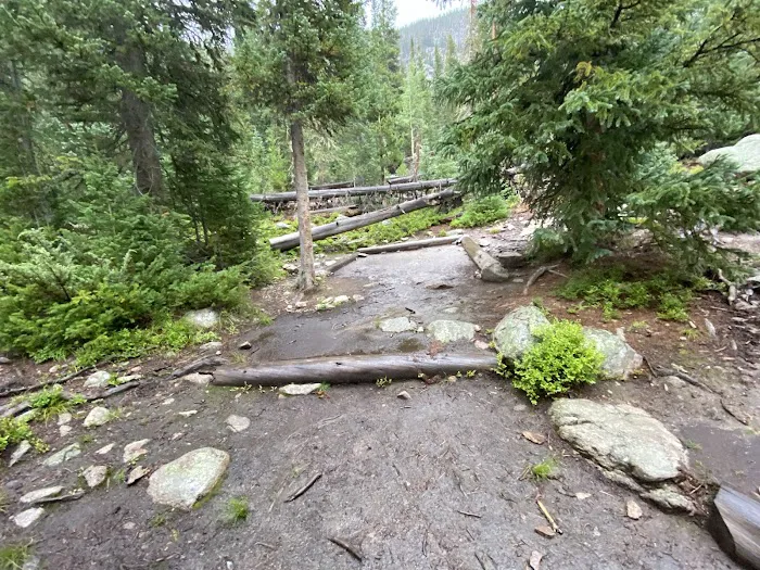 Grouseberry Campsite Picture 3