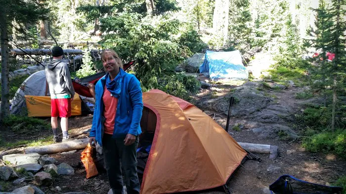 Grouseberry Campsite Picture 1