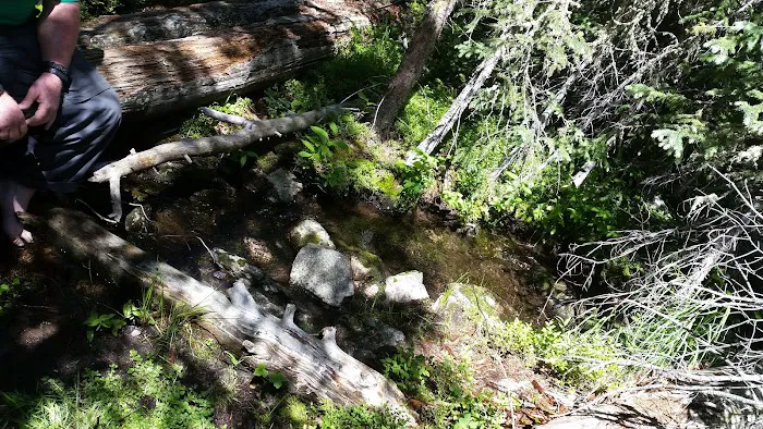Grouseberry Campsite Picture 2