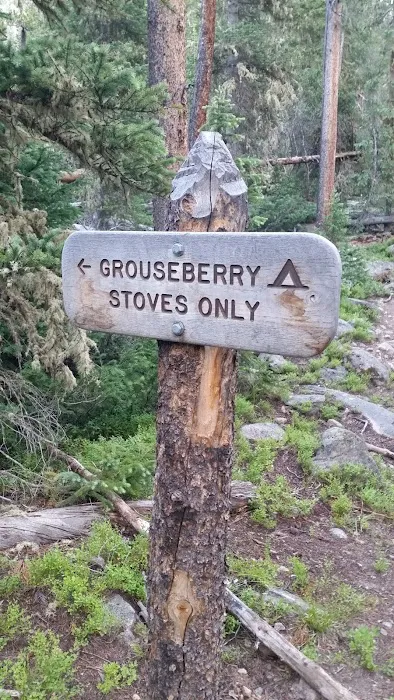 Grouseberry Campsite Picture 6