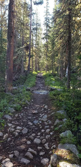 Grouseberry Campsite Picture 7
