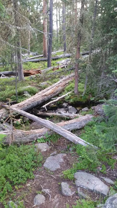 Grouseberry Campsite Picture 10