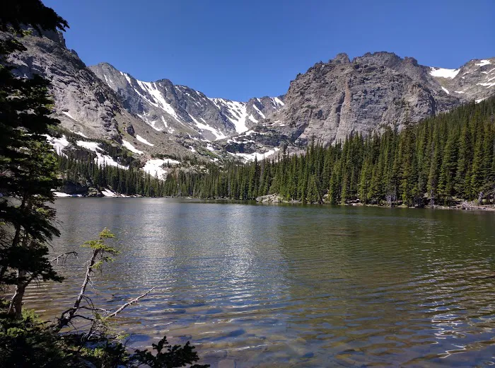 Andrews Creek Picture 2