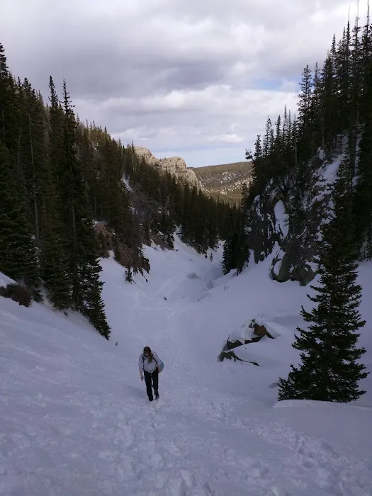 Andrews Creek Picture 5