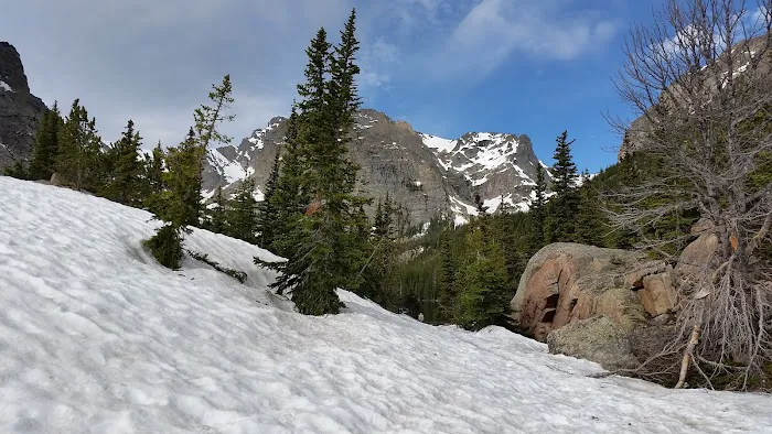 Andrews Creek Picture 6