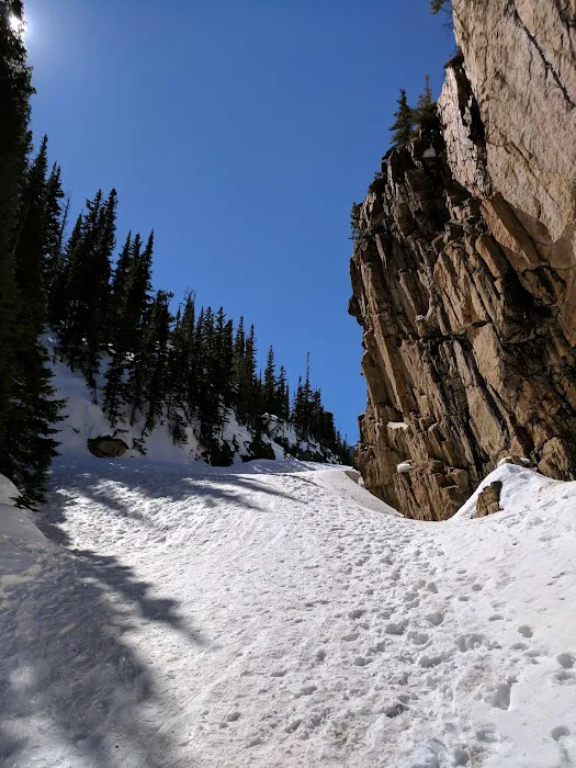 Andrews Creek Picture 9