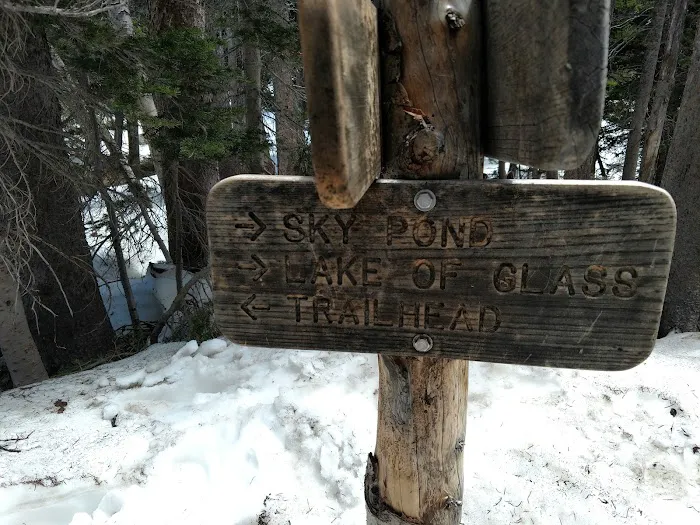 Andrews Creek Picture 10
