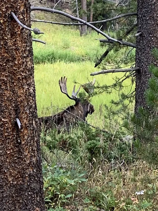 South Meadows Picture 3